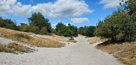 Mindful stiltewandeling met als thema ‘Loslaten’