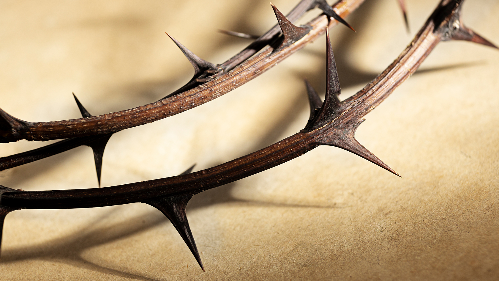 Passieconcert ‘Voorbij ruimte en tijd’