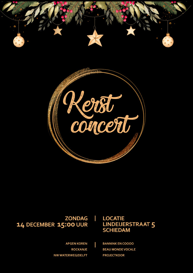 Kerstconcert20251214.jpg