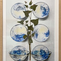 Boekweit Herbarium - Claudia de Vos Boekweit Herbarium - Claudia de Vos - 48,5 B x 68,5 H.jpg