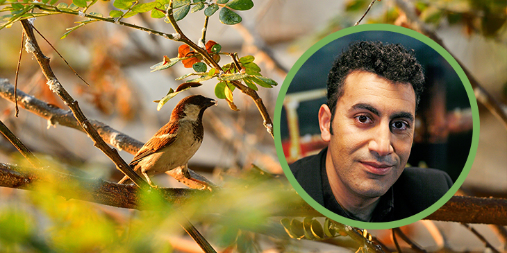 Over vogels en vrijheid