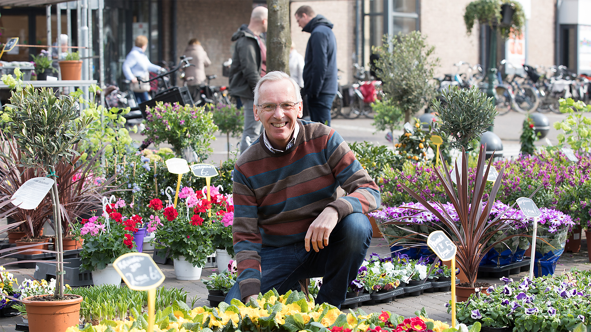 Theo tussen planten.png