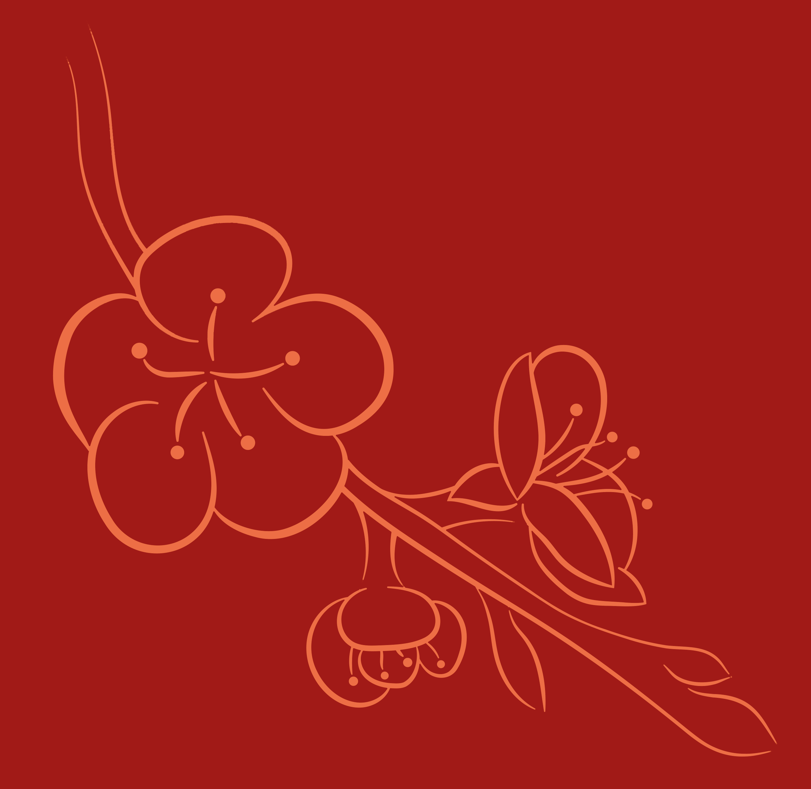 Conferentie sleutelfunctionarissen 